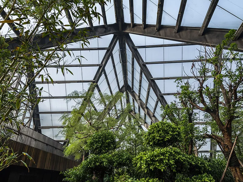 Aula Botanical Steel Structure
